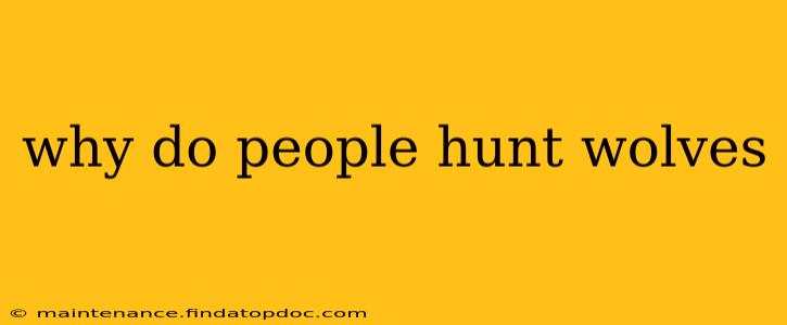 why do people hunt wolves