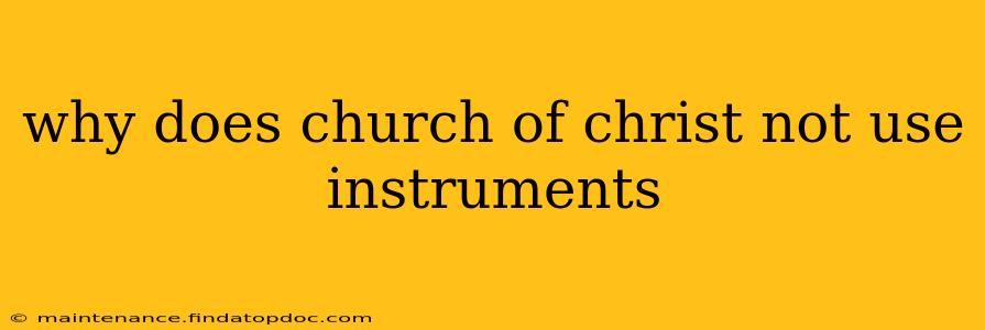 why does church of christ not use instruments