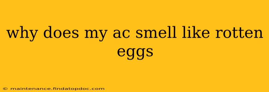 why does my ac smell like rotten eggs