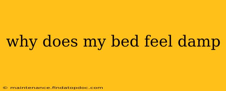 why does my bed feel damp