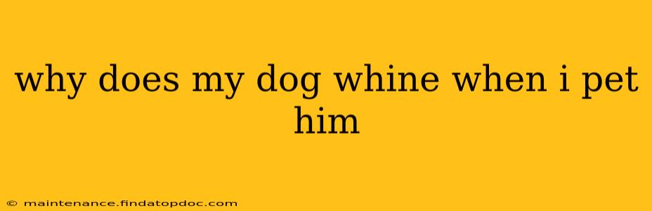 why does my dog whine when i pet him