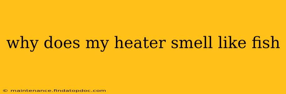 why does my heater smell like fish