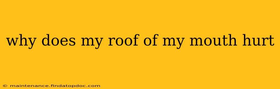 why does my roof of my mouth hurt