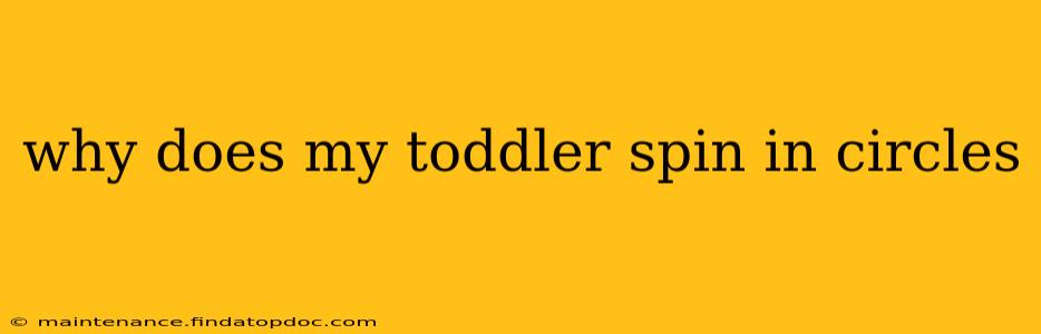 why does my toddler spin in circles