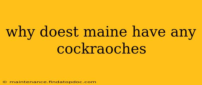 why doest maine have any cockraoches