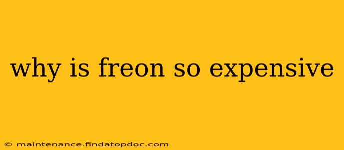 why is freon so expensive