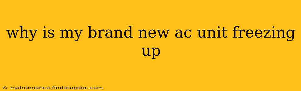 why is my brand new ac unit freezing up
