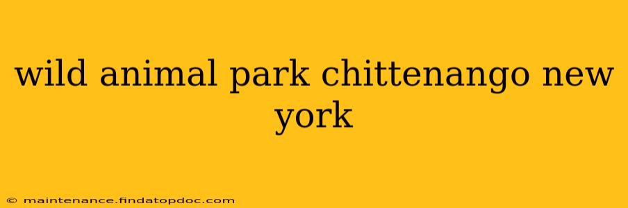 wild animal park chittenango new york