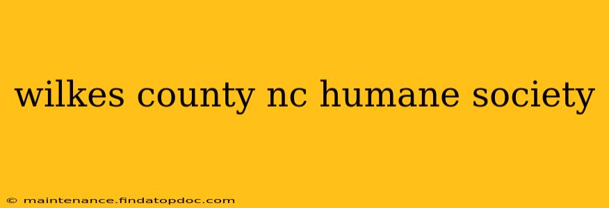 wilkes county nc humane society