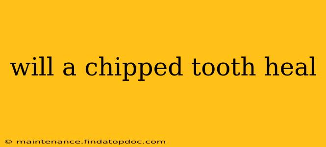 will a chipped tooth heal
