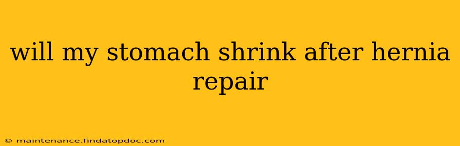 will my stomach shrink after hernia repair