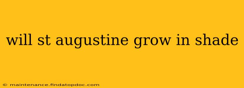 will st augustine grow in shade