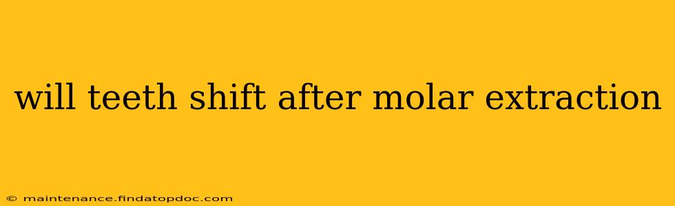 will teeth shift after molar extraction