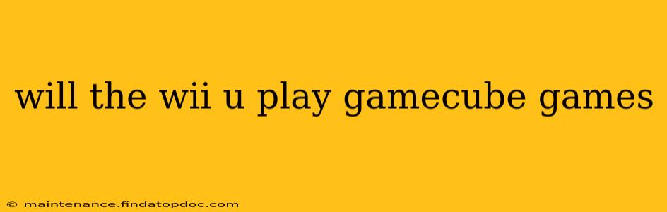 will the wii u play gamecube games