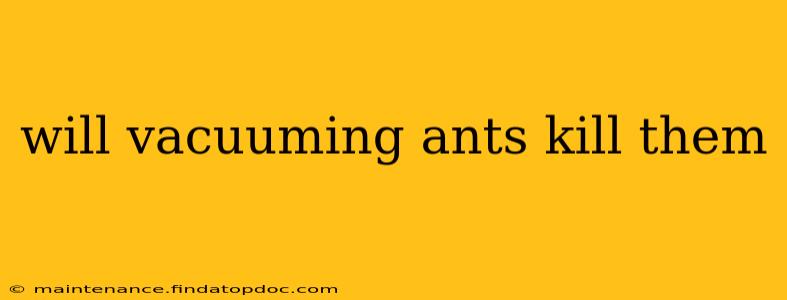 will vacuuming ants kill them