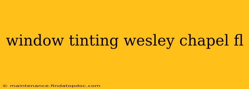 window tinting wesley chapel fl