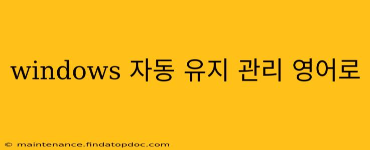 windows 자동 유지 관리 영어로