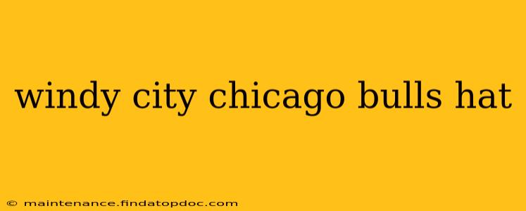 windy city chicago bulls hat