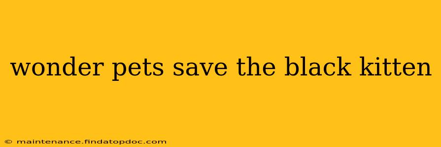 wonder pets save the black kitten