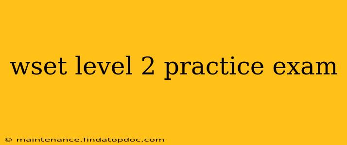 wset level 2 practice exam