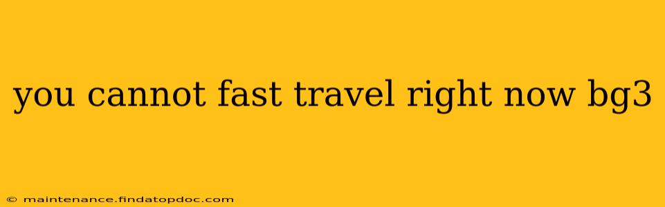 you cannot fast travel right now bg3