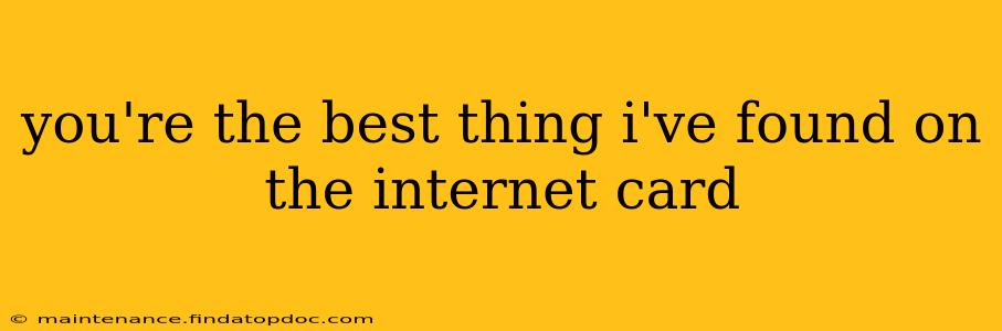 you're the best thing i've found on the internet card