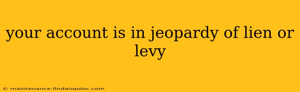 your account is in jeopardy of lien or levy