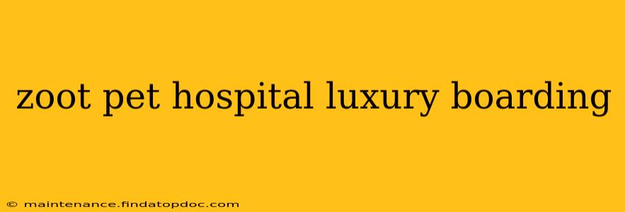 zoot pet hospital luxury boarding